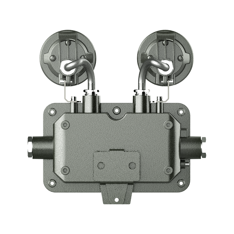 ZBFC8190/防爆雙頭應急燈/2*3W